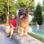 Chenil Titans Family